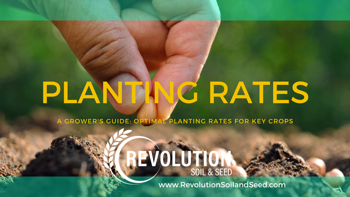 A Grower’s Guide: Optimal Planting Rates for Key Crops