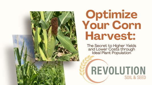 Optimize Your Corn Harvest: