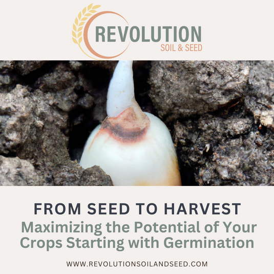From Seed to Harvest: