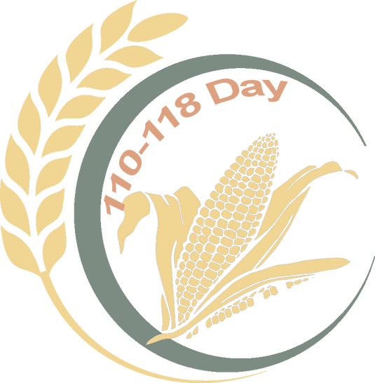 110 -118 Day Corn