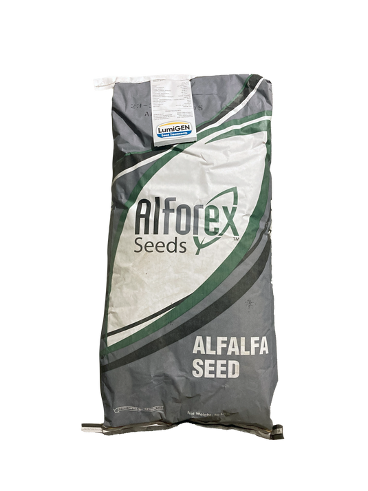 Alforex Alfalfa AFX 579