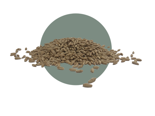 RSS Forage Triticale Base Product