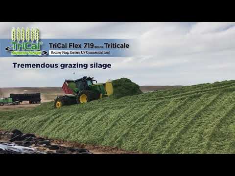 Load and play video in Gallery viewer, Flex 719 Triticale
